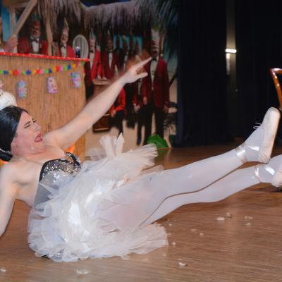 Prunksitzungen 2019 10