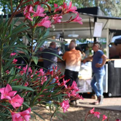 Bild Sommerfest Sa 07 20240825 2015447781